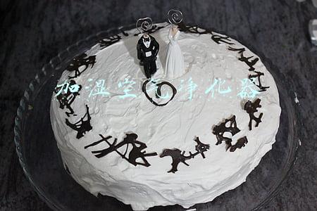 加湿空气净化器