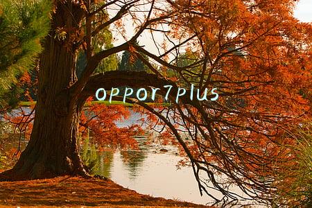 oppor7plus