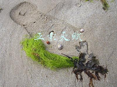 亚索天赋 亚索天赋