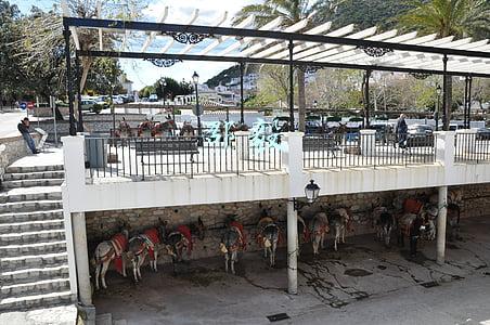邵逸夫(107岁的邵逸夫，生前对养生秘诀直言不讳：坚持不喝酒、不赌钱)