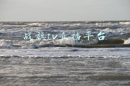 战旗tv直播平台