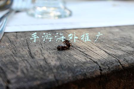 手游海外推广