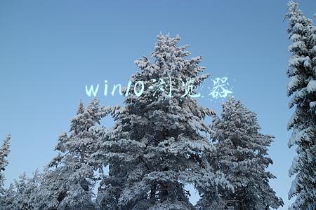 win10浏览器