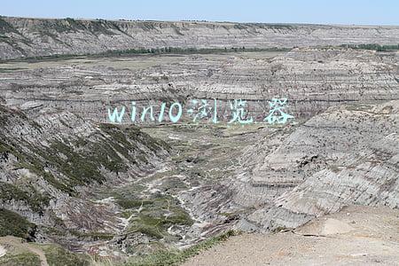 win10浏览器