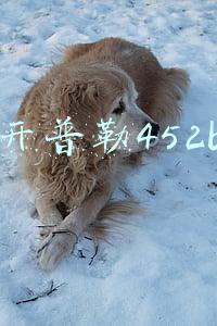 开普勒452b 开普勒452b