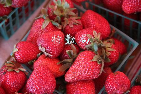 特勤局级别(访公安部特勤局政委李宪法：砺炼精中之精 锻造尖上之尖)