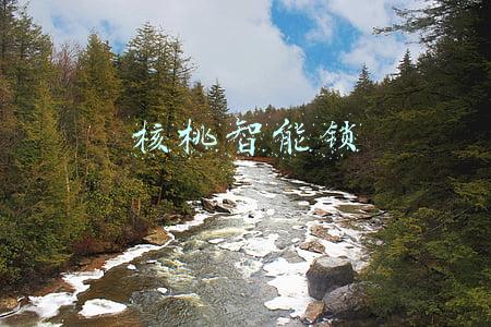 核桃智能锁