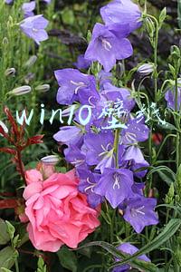 win10壁纸