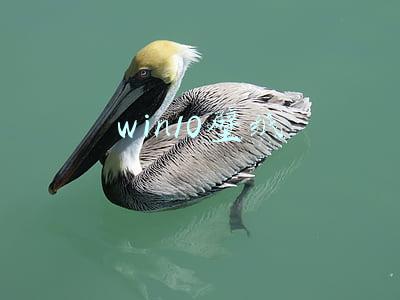 win10壁纸