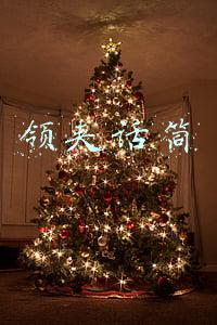 领夹麦克风(369 元，魅蓝 lifeme 无线领夹麦克风发布)