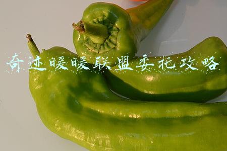 奇迹暖暖联盟委托攻略 奇迹暖暖联盟委托攻略