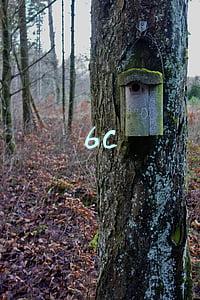 6c