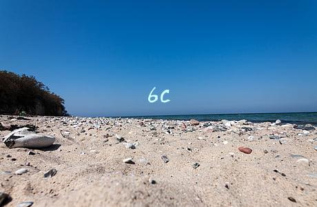 6c