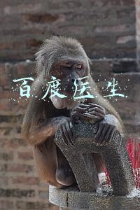百度医生