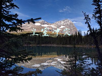 皇室冲突 皇室冲突