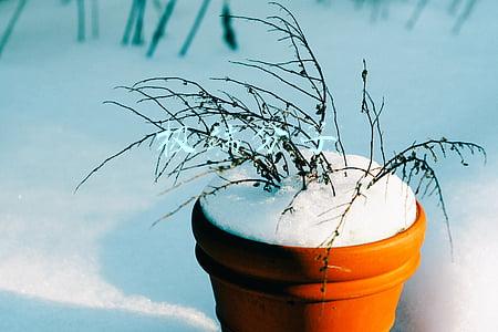 极端分子英语(新概念第四册课文翻译及学习笔记：Lesson9)