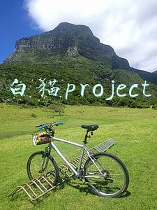 白猫project