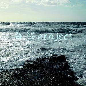 白猫project