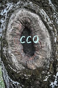 CCO