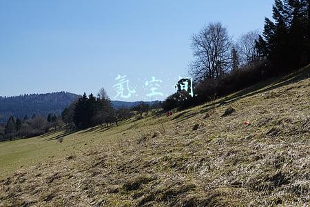 氪空间收费标准(氪空间以房屋损毁为由拒退每日优鲜保证金，二审判退76万)