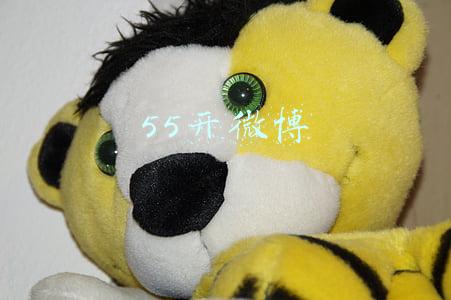 55开微博