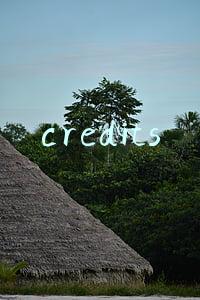 credits