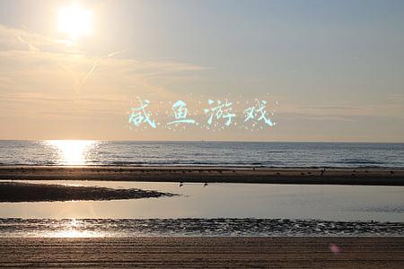 咸鱼游戏