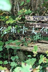 信用卡支付 信用卡支付