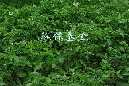 环保基金
