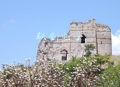 联创电子