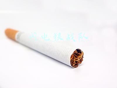 闪电狼战队