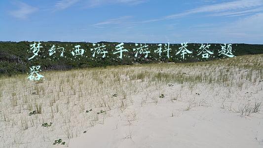 梦幻西游手游科举答题器