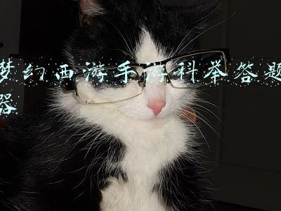 梦幻西游手游科举答题器 梦幻西游手游科举答题器