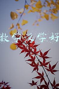 数学没学好
