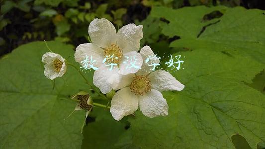 数学没学好