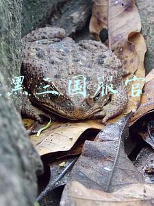 暗黑三国服官网