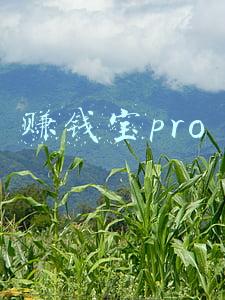赚钱宝pro
