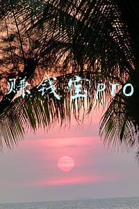 赚钱宝pro