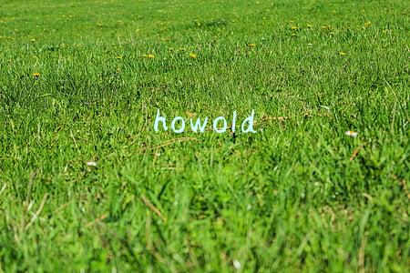 howold howold