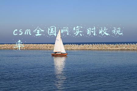 csm全国网实时收视率
