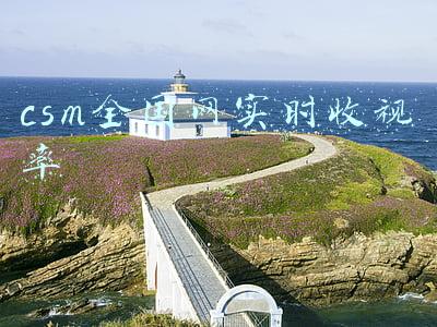 csm全国网实时收视率