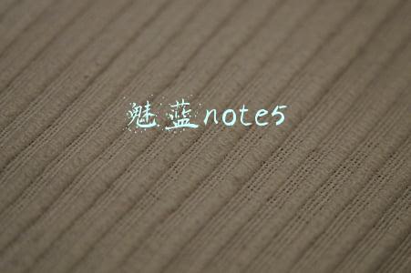 魅蓝note5换电池教程(网上买个原装电池为什么这么难？看看我这次的经历)