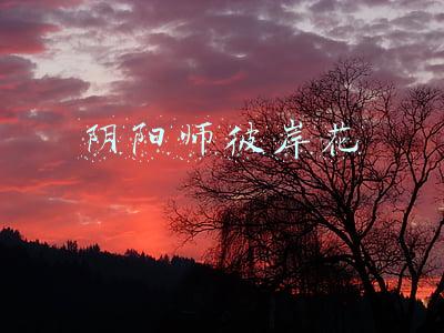 阴阳师彼岸花
