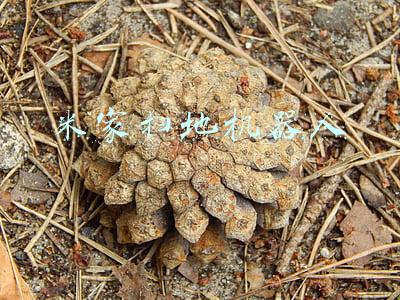 米家扫地机器人
