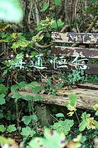 海通恒信 海通恒信
