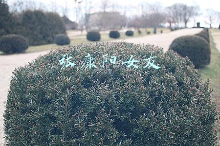 张康阳女友