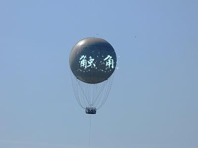触角