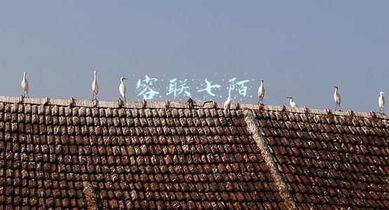 容联七陌