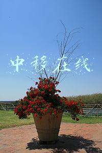 中移在线