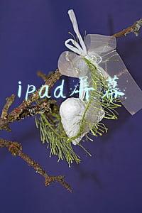 ipad屏幕